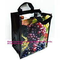 PP Woven Bags