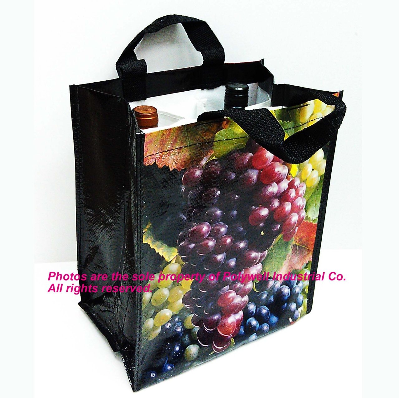 PP Woven Bottle Bag