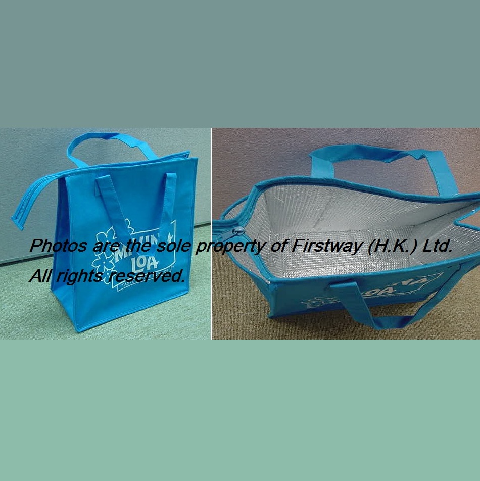 Non Woven Cooler Bag