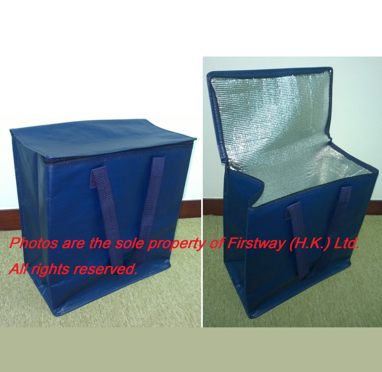 PP Woven Cooler Bag