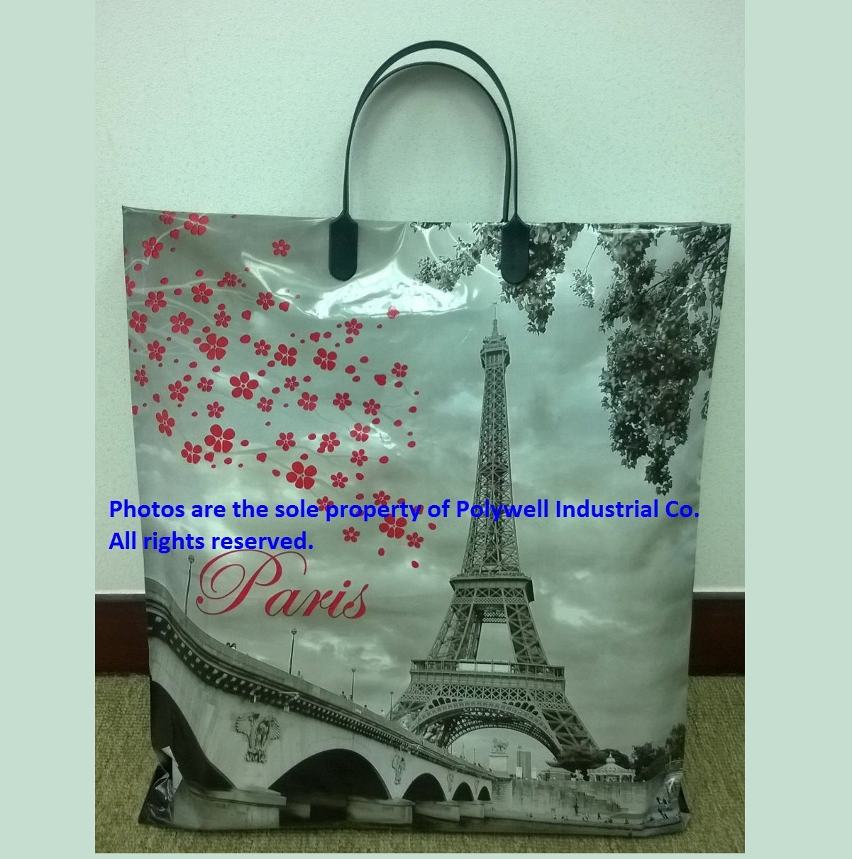 Rigid Handle Bag