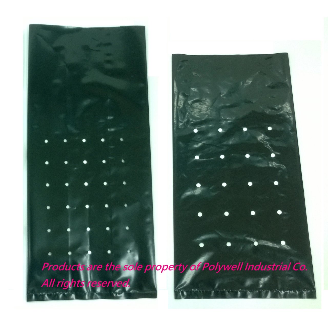 Seeding Bag