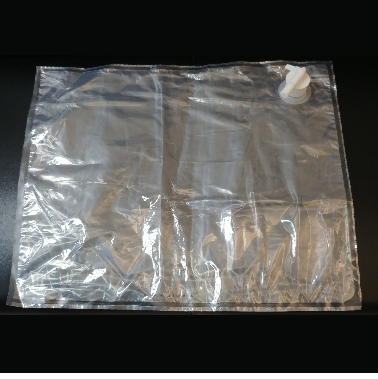 Collapsible Water Container